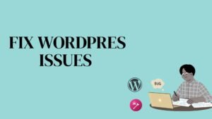 WordPress Bug Fix Agency