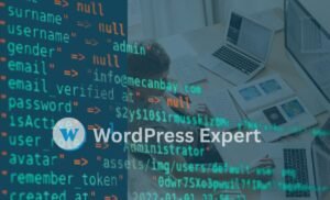 Wordpress expert