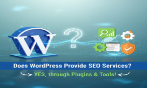 WordPress Provide SEO Services