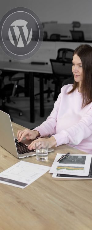 WordPress Website Designers,emergency WordPress Support Services,Hacked Site Repair Website, WordPress Performance Optimization