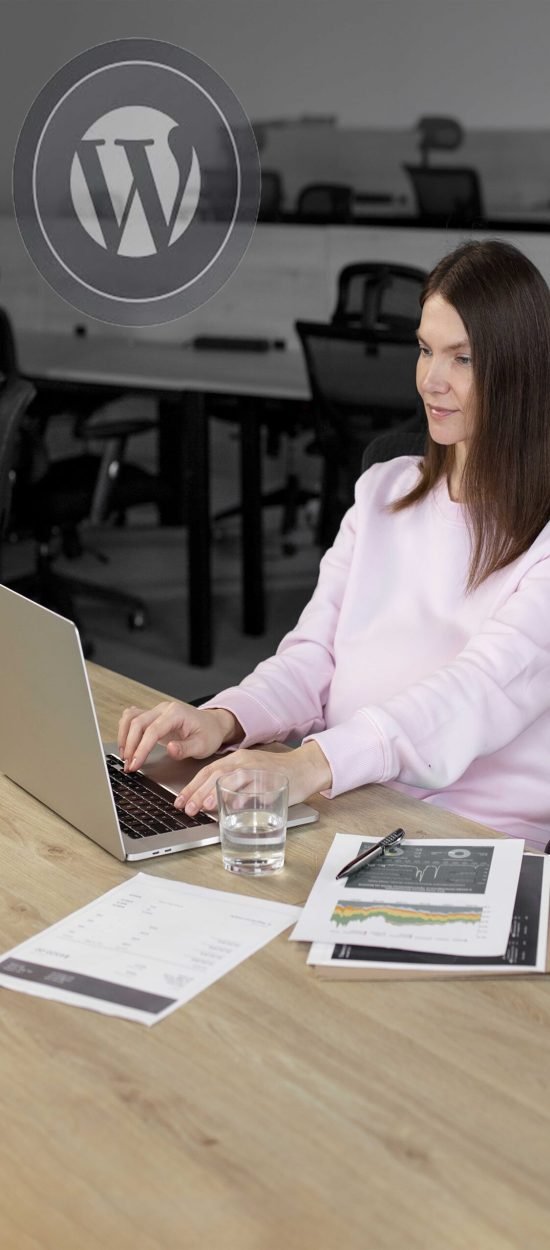 WordPress Website Designers,emergency WordPress Support Services,Hacked Site Repair Website, WordPress Performance Optimization